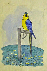 101194_ Gelbbrustara, Aquarell-Tusche, u1923,  VS Monogramm FE