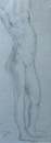 Weiblicher Torso