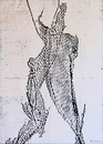 Harlekin