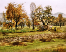 Bei der Ernte