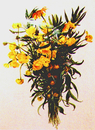 Trollblumen aus dem Moor