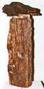 Zeitlos