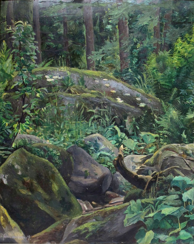 Schwarzwald-Blasiwald