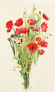 Strauß Klatschmohn