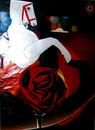 Red Rose