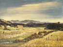 Das Wiesle - Heuen  im Tal vor der Adlegg-Isny
