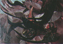 Chaos