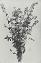 Strauß-Hell mit 4 Glockenblumen